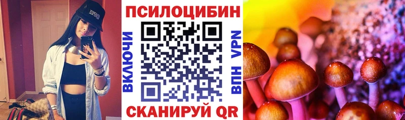 OMG рабочий сайт  где продают   Приморск  Псилоцибиновые грибы Cubensis 