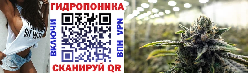 продажа наркотиков  Приморск  Бошки Шишки VHQ 